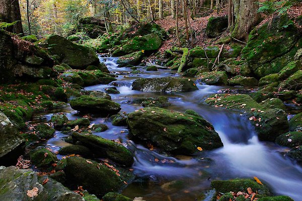 Flusslandschaft Flusslandschaft